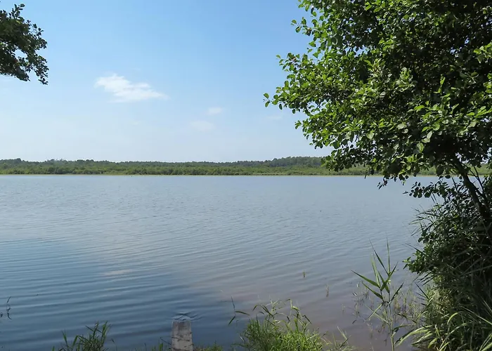 L'imprevu By Interhome * Soustons